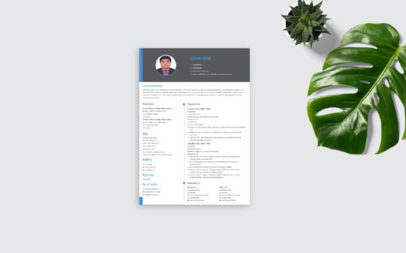Download Modern Minimal Resume Template - Premium Resources